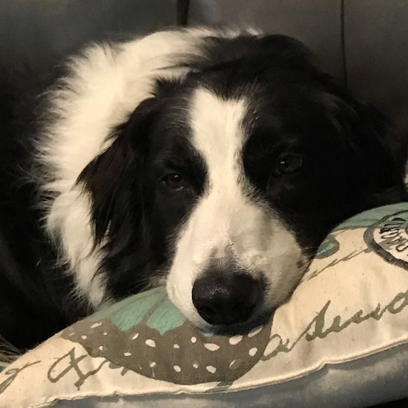 Meet your Posher, Janice - Picture 5 of 8